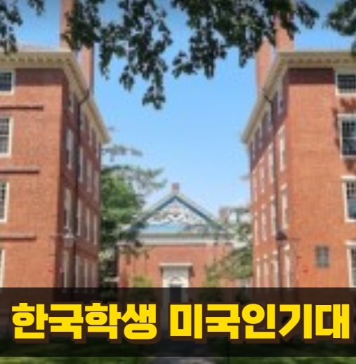 한국 학생 인기대학