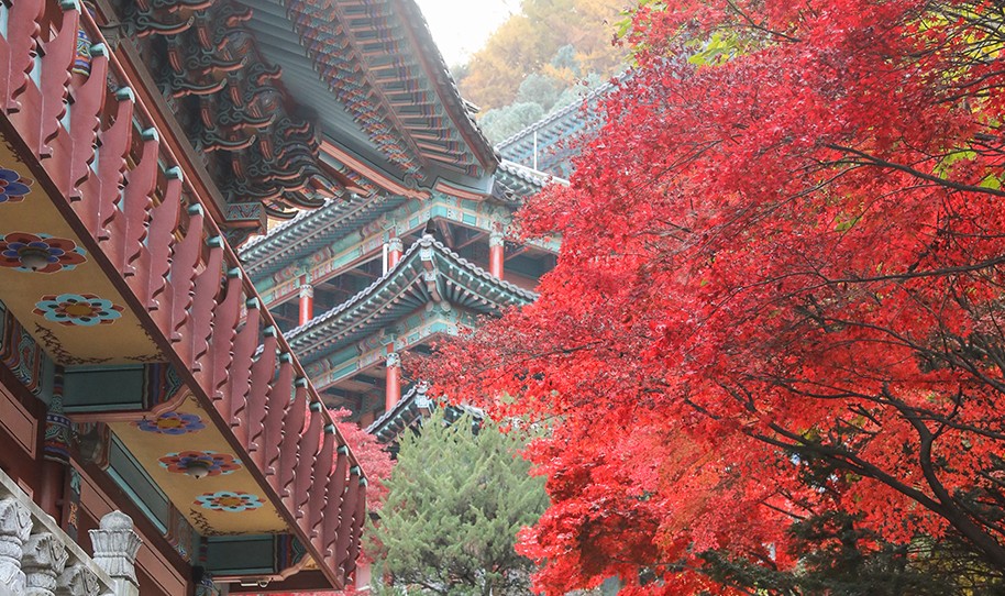 [단풍명소] 가을 여행지 베스트 50 - 서울, 경기도, 충남, 충북, 경북, 경남, 전남, 전북, 강원도, 제주