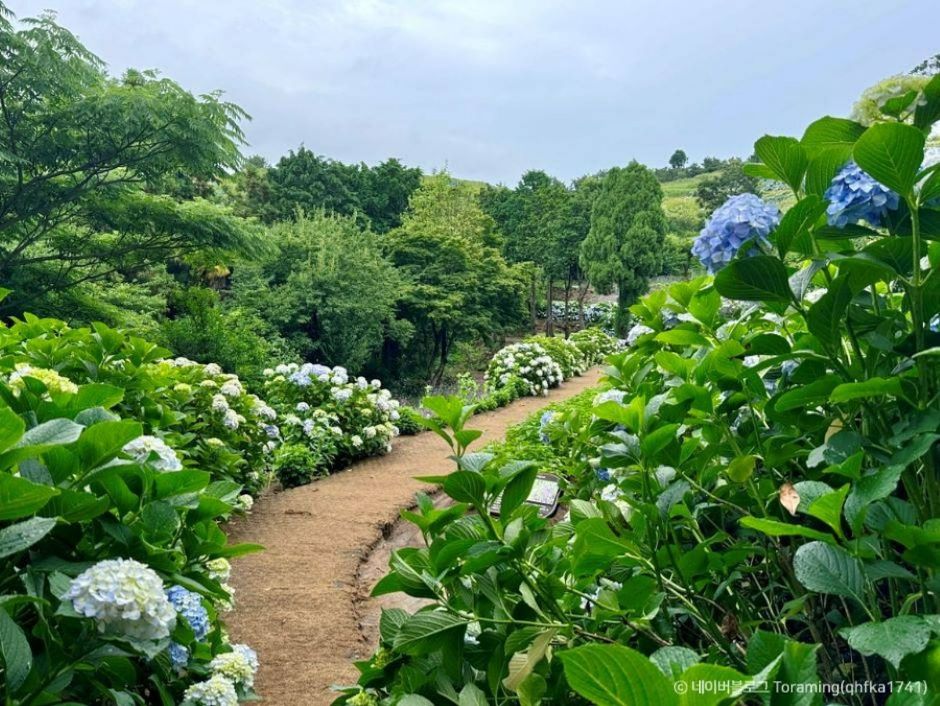 지세포진성 꽃동산