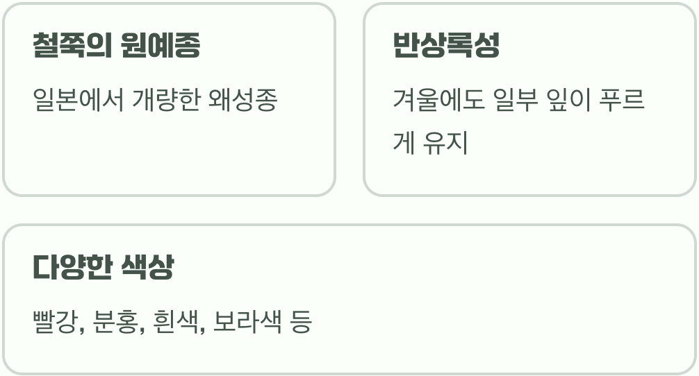 화려한 봄의 여왕, 영산홍의 정체