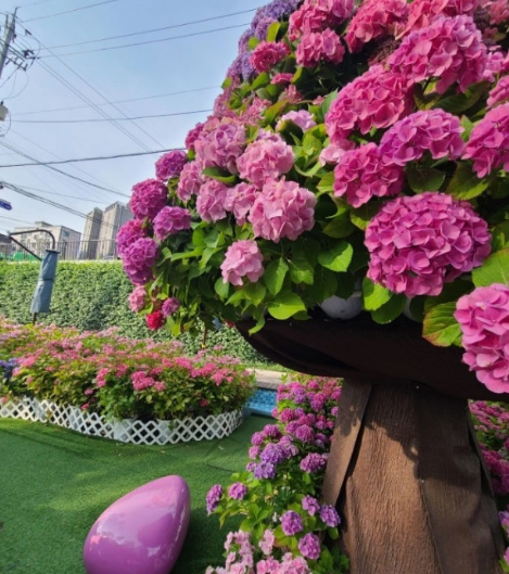 별빛내린천