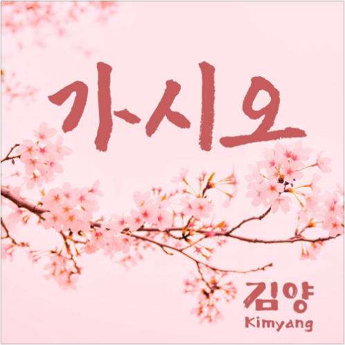 김양 가시오 앨범 사진