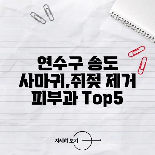 연수구 송도 사마귀,쥐젖 제거 피부과 Top5