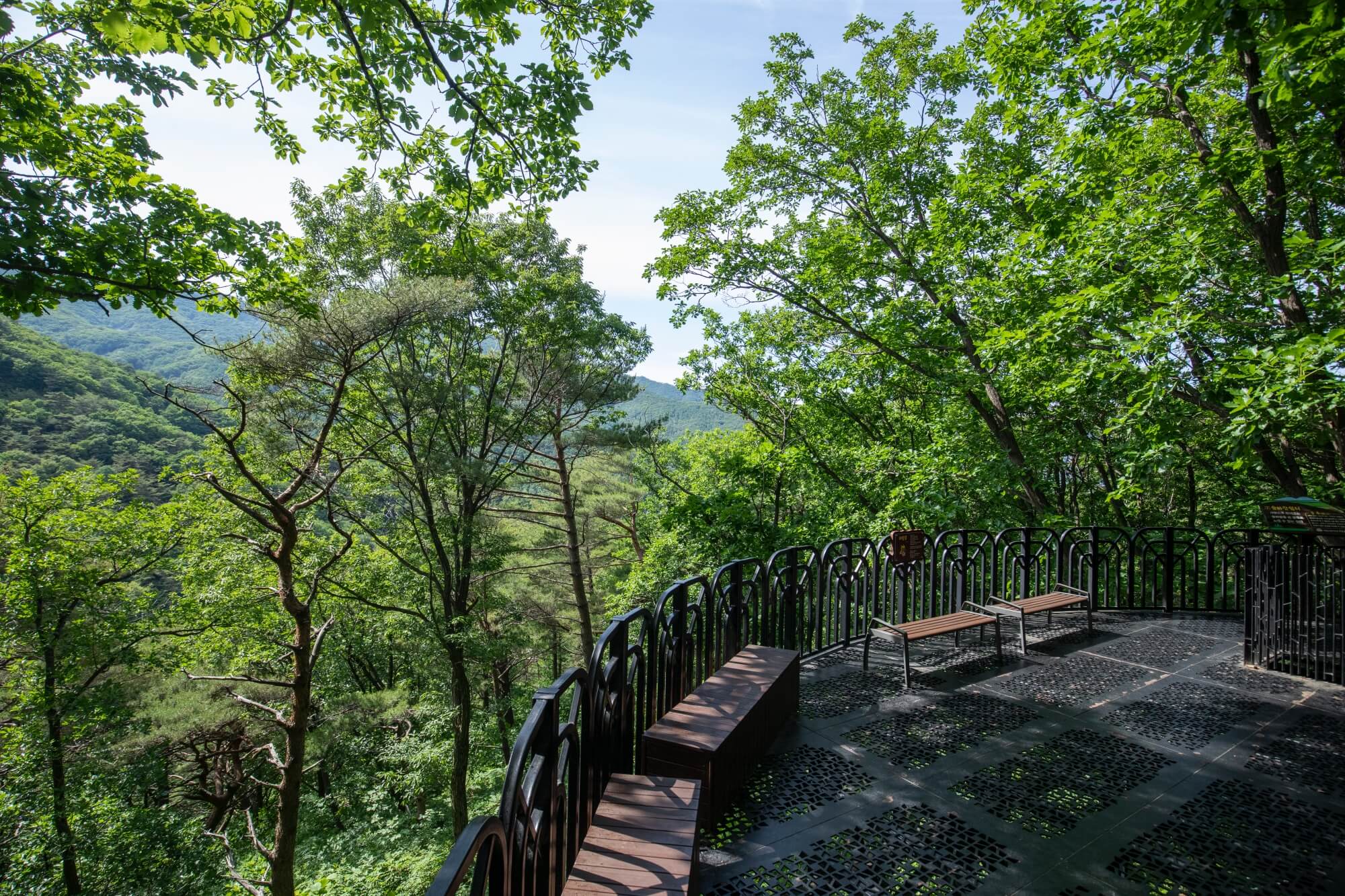 국립산림치유원&amp;#44; 산림치유원 예약&amp;#44; 국립산림치유원 요금&amp;#44; 국립산림치유원 프로그램&amp;#44; 국립산림치유원 후기&amp;#44; 국립산림치유원 숙박&amp;#44; 국립산림치유원 프로그램 추천&amp;#44; 산림 테라피&amp;#44; 숲 명상&amp;#44; 산림 치유 프로그램 예약 방법