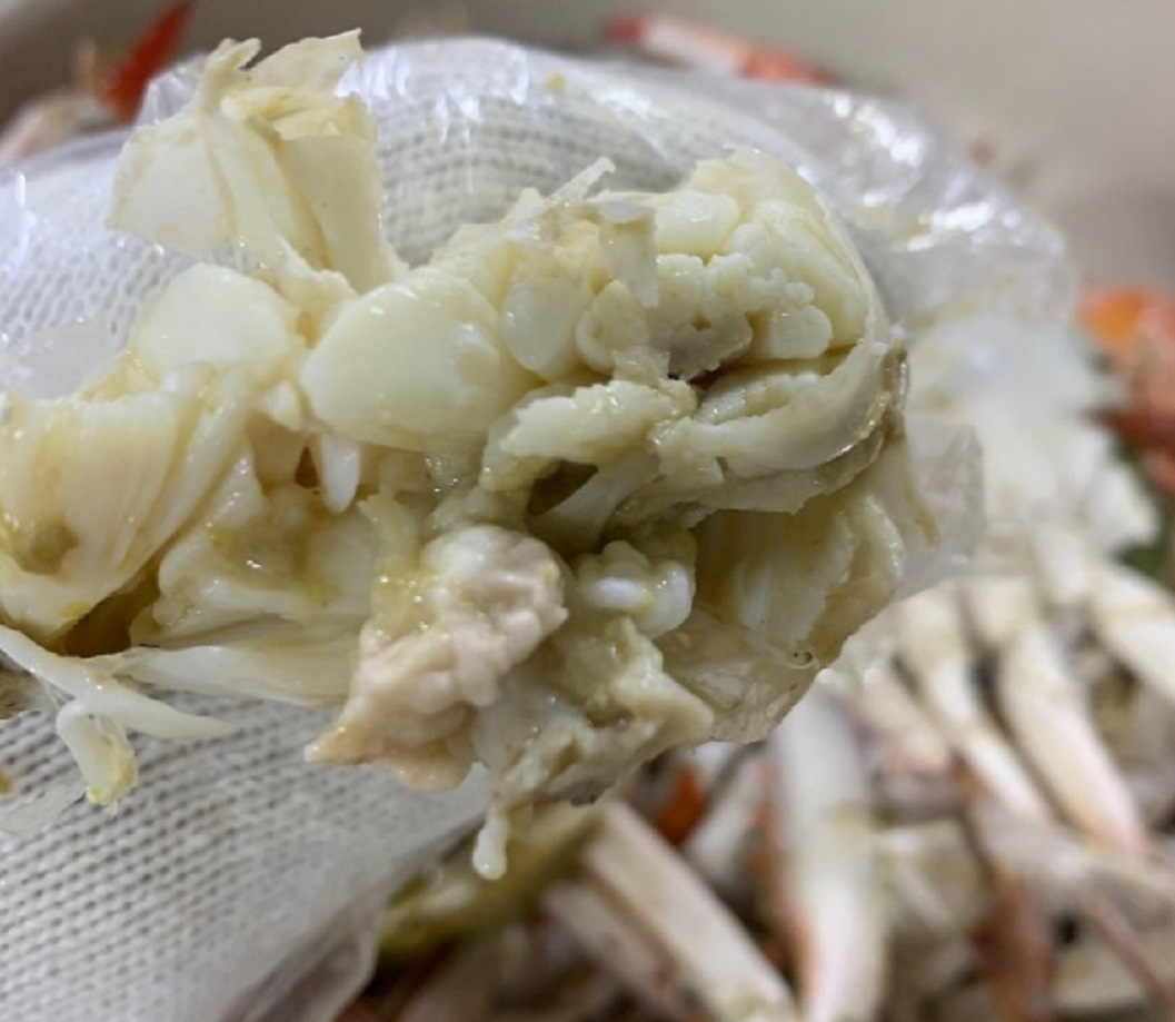 궁평항-꽃게-진주네-정점옥