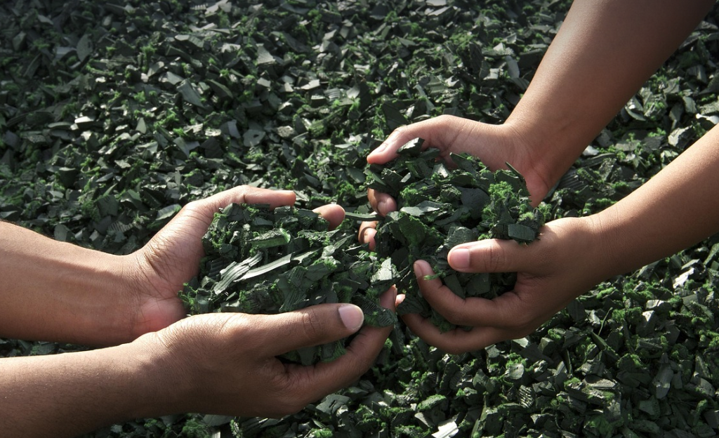함께 손을 모아 수확하는 사진