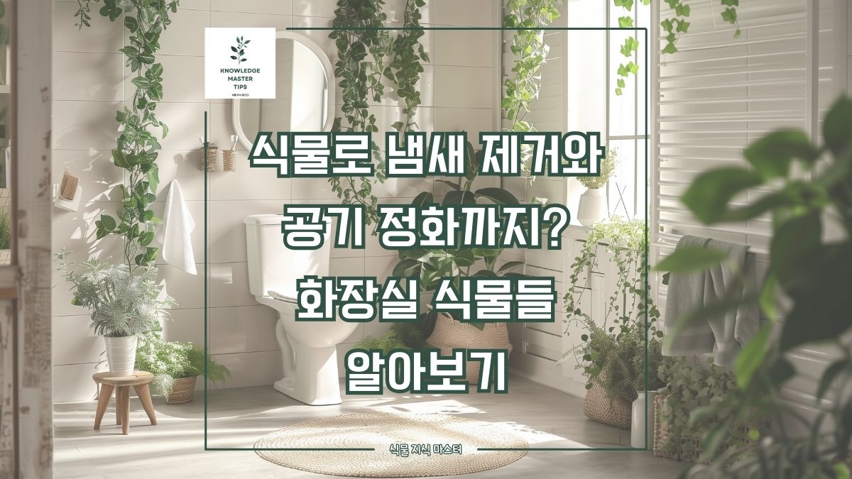 식물로 냄새 제거와 공기 정화까지? 화장실 식물들 알아보기