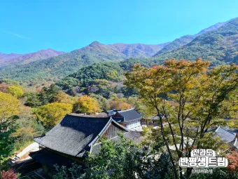 구례 가볼만한곳 베스트10 섬진강 벚꽃길 사성암 드라이브_2