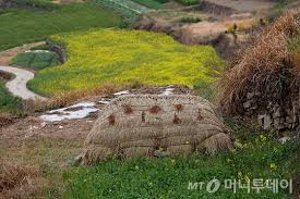 치유가 필요해 청산도를 걸어봐 기본일정과 프로그램 소개