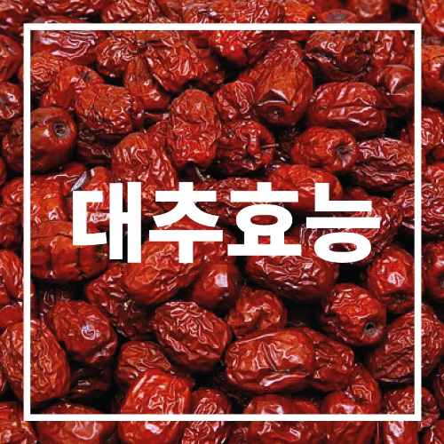 대추 효능