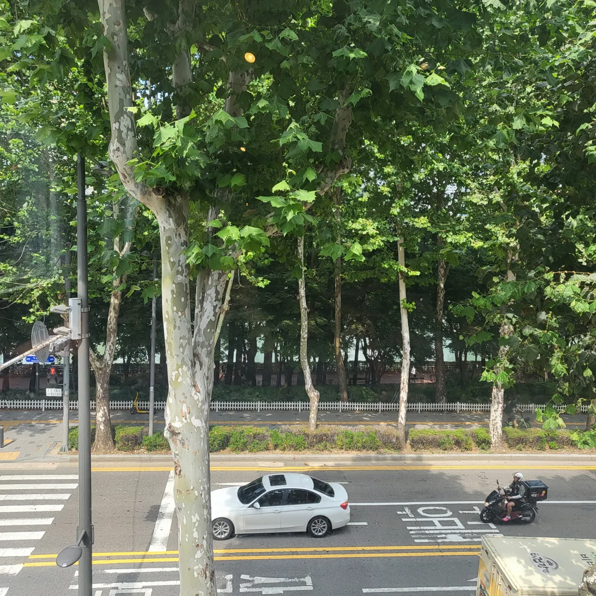 카페-VGG-창-밖의-모습