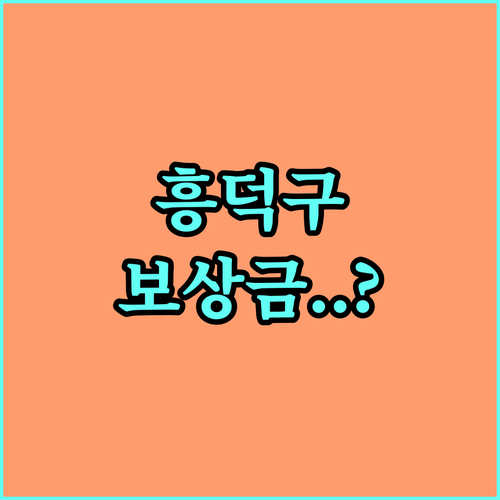 흥덕구 군소음 피해보상금 신청 절차 ..