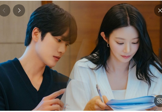 스프링-피버-기본-정보-등장인물-뜻-ott