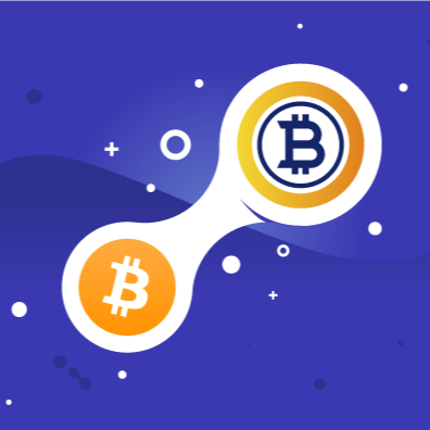 비트코인 골드 유의종목 지정