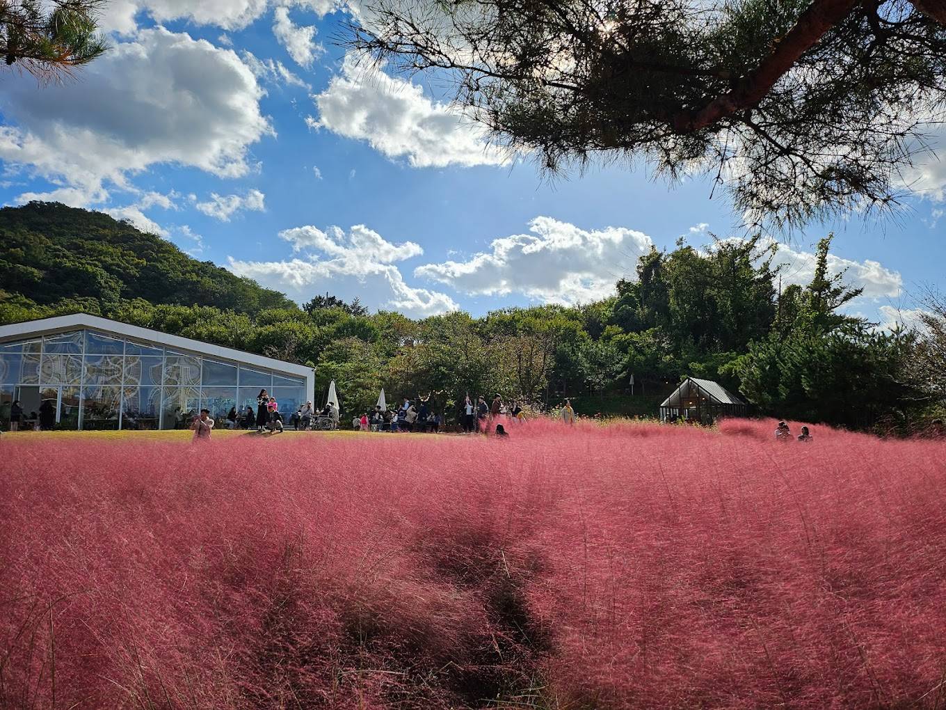 천안 카페 이숲2