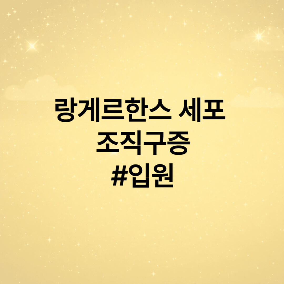 랑게르한스 입원