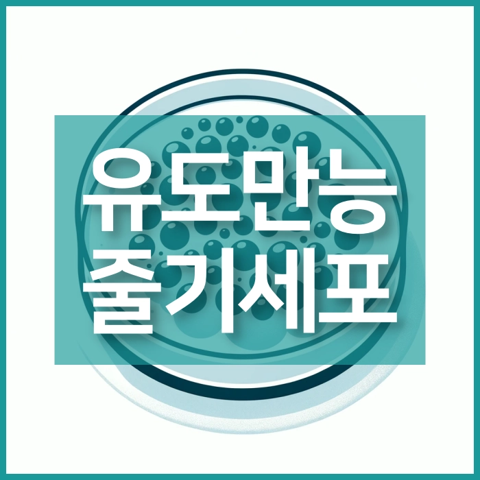 유도만능줄기세포