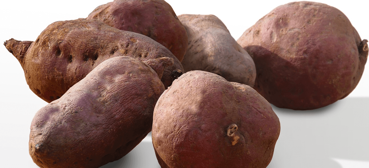 대장에 좋은 음식과 관련된 사진 - 7