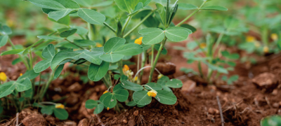 상하농원 뽀개기 시리즈 4탄❘체험프로그램 완정정복(종류, 예약 방법)