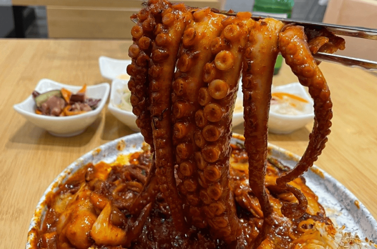 토밥-수원-낙지-볶음-연포탕-맛집-정보