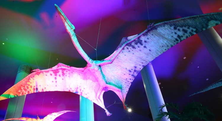 해남 공룡박물관