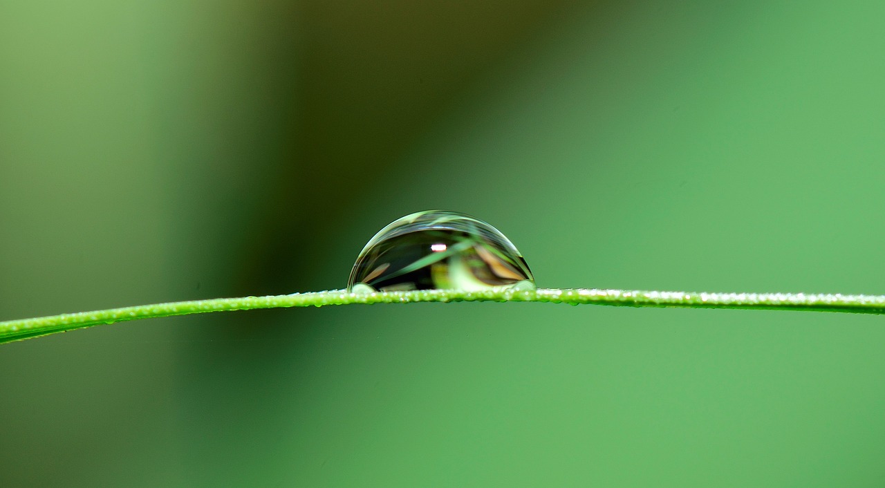 곰팡이 제거방법과 제거제 추천 총정리!