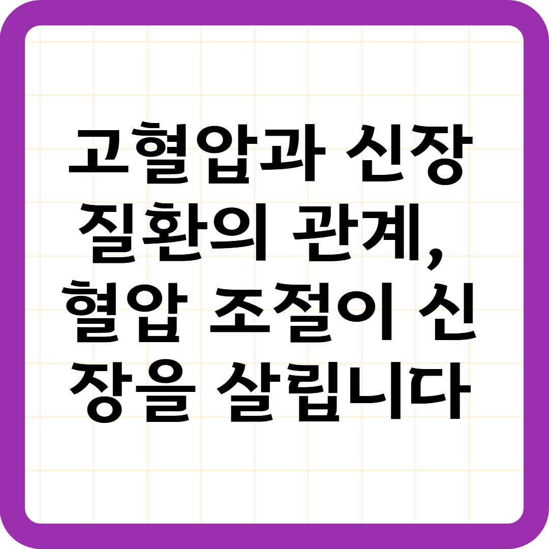 고혈압과 신장질환의 관계, 혈압 조절이 신장을 살립니다