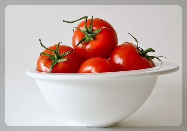 토마토