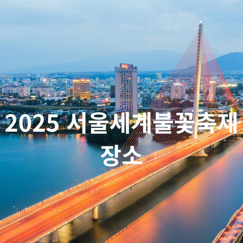 2025 여의도 불꽃축제 명당 & 준비물 총정리