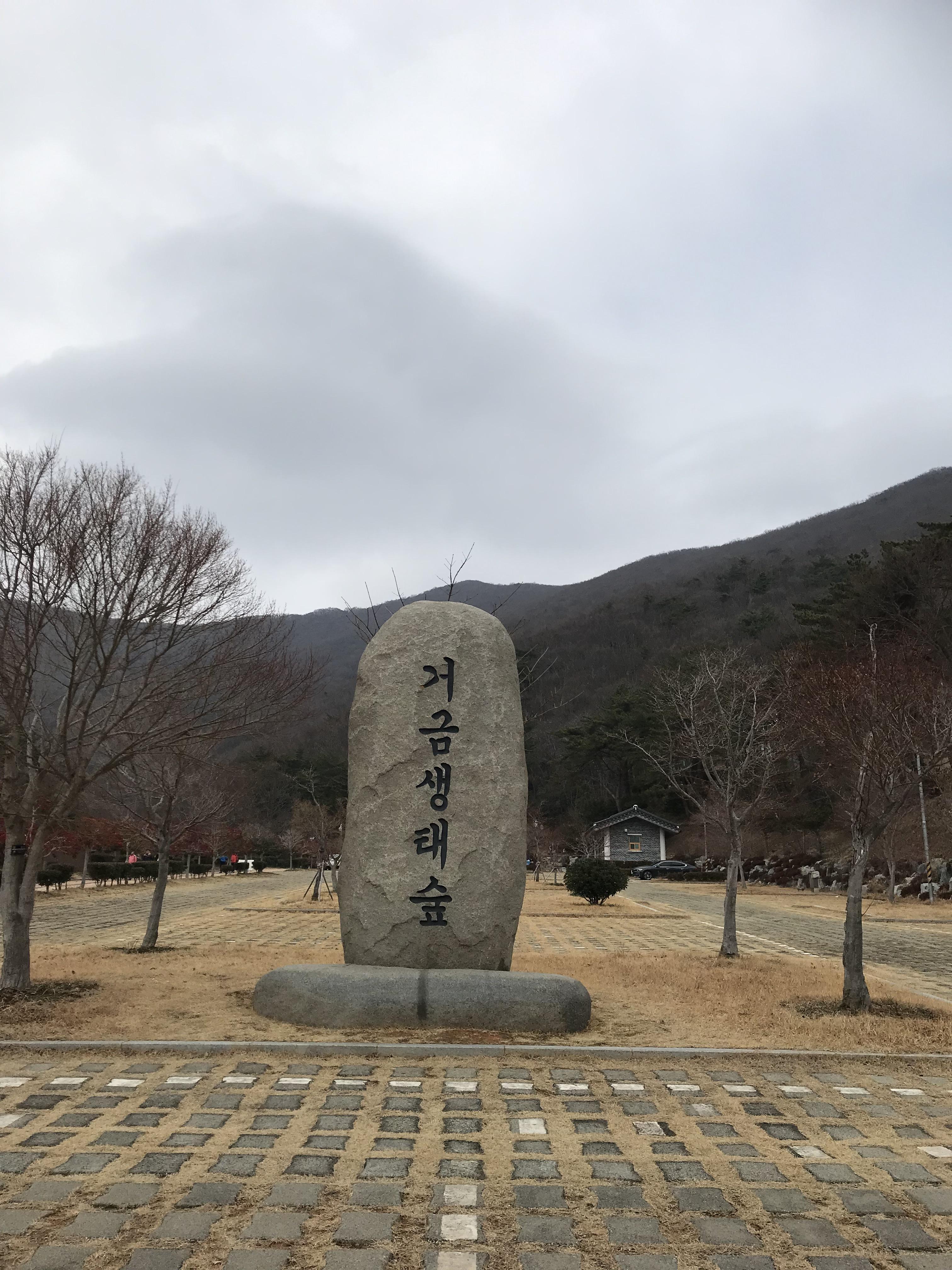 거금생태숲 모습