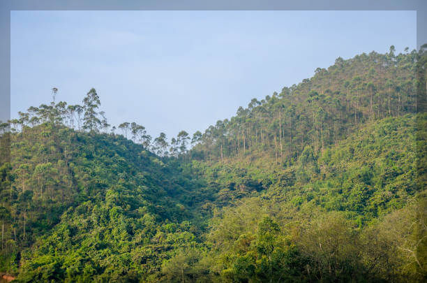 11월 화담숲: 가을의 끝자락에서 즐기는 단풍과 겨울 풍경