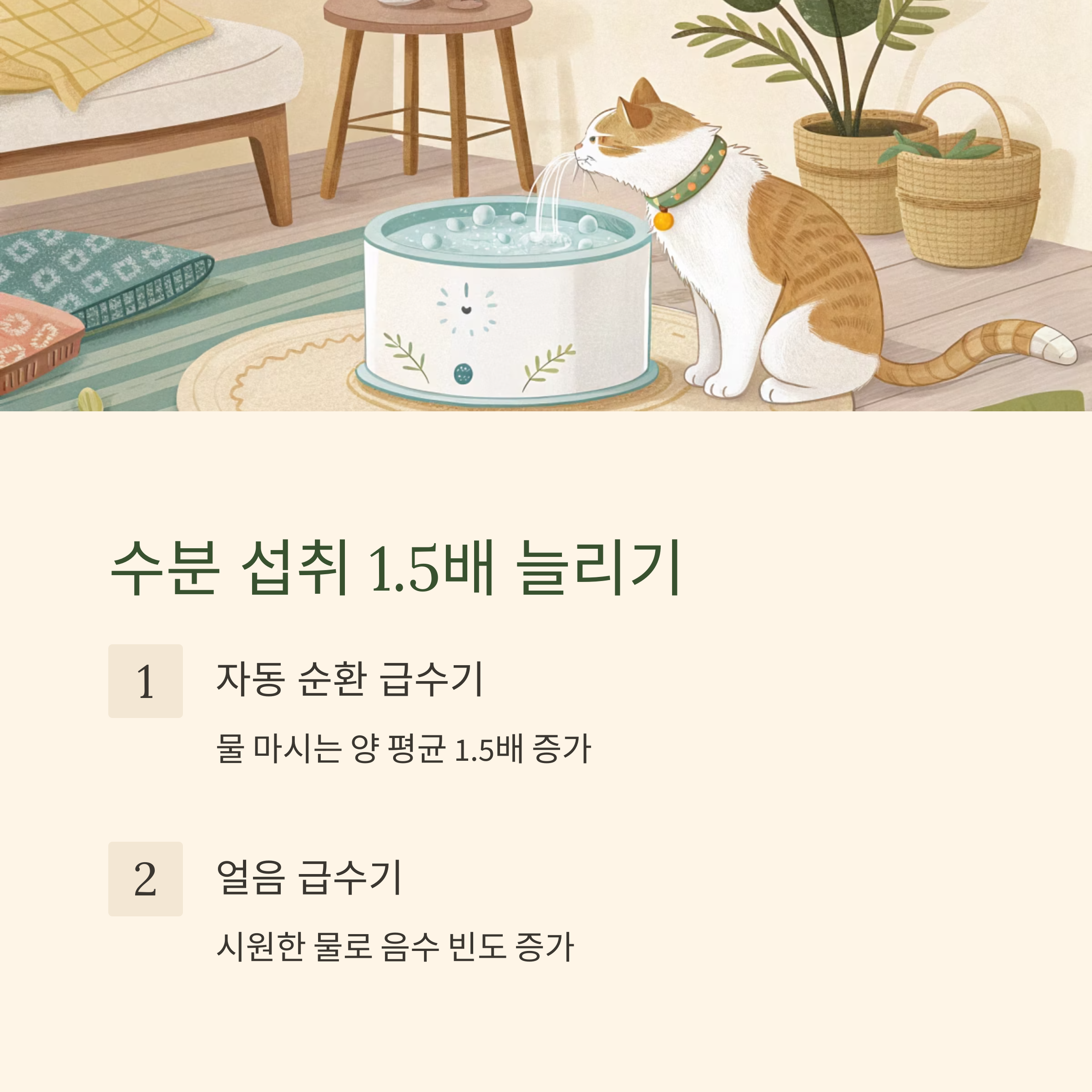 수분 섭취 1.5배 늘리기