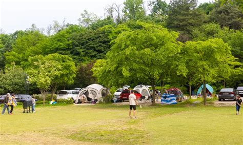 초안산 캠핑장 풍경