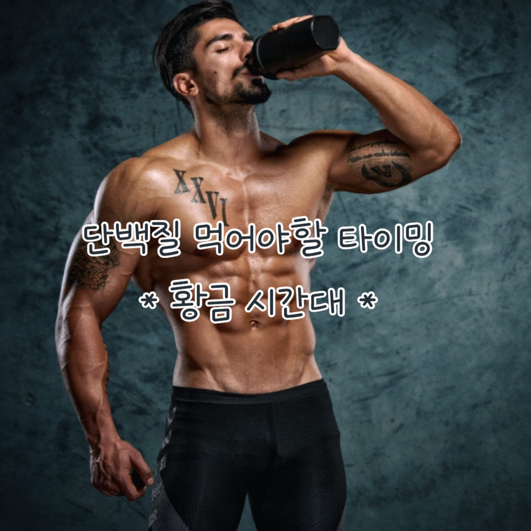 단백질 먹는 황금 시간대는 언제일까?