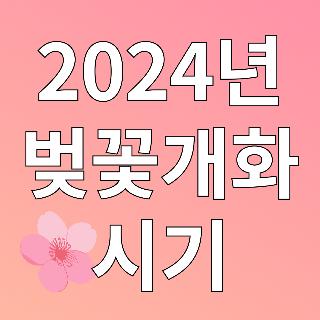 2024년 벚꽃 개화시기