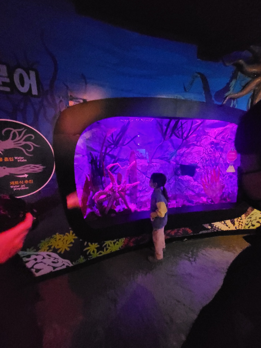 부산 아쿠아리움