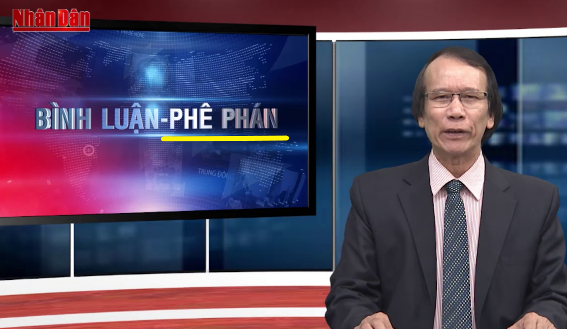 평론과 비판 코너