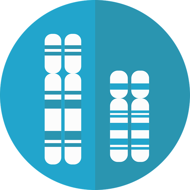 도시 농업과 바이오 기술 : 유전공학으로 생산성 높이