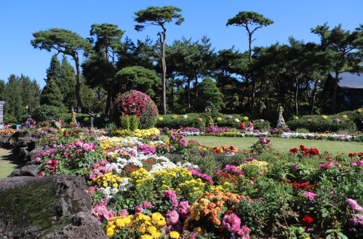 벽초지수목원 가을꽃 국화축제