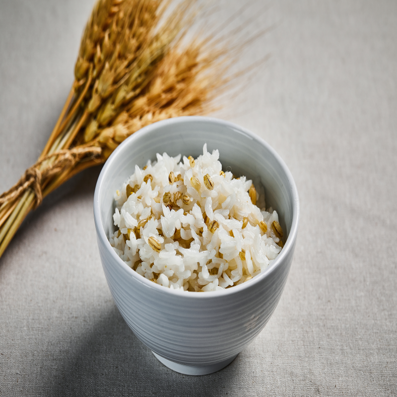 귀리 먹는법 효능 밥짓기 오트밀 귀리밥 귀리차