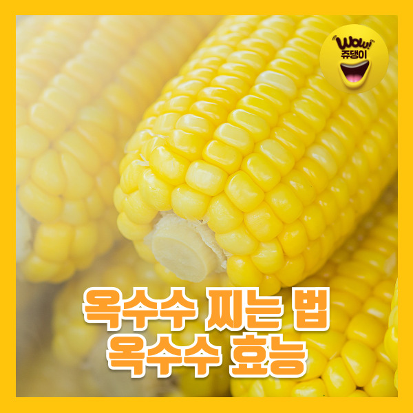 당신이 몰랐던 옥수수 효능 옥수수 찌는 법