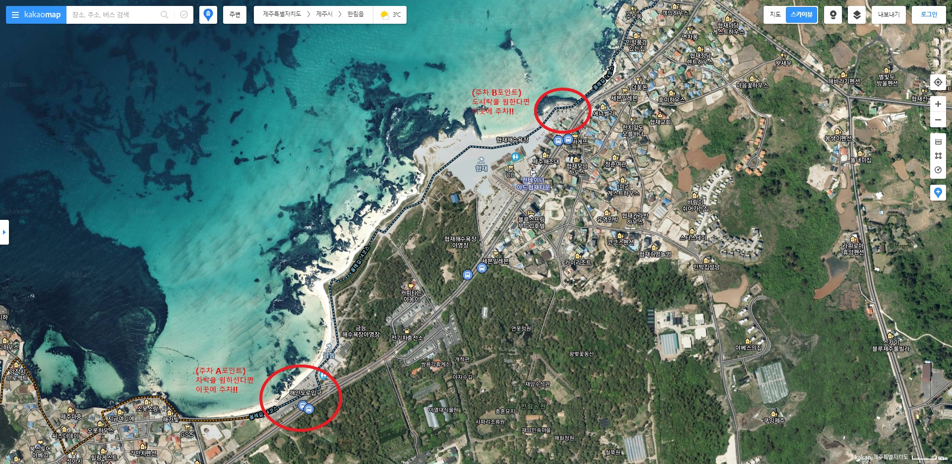 금능해수욕장 주차