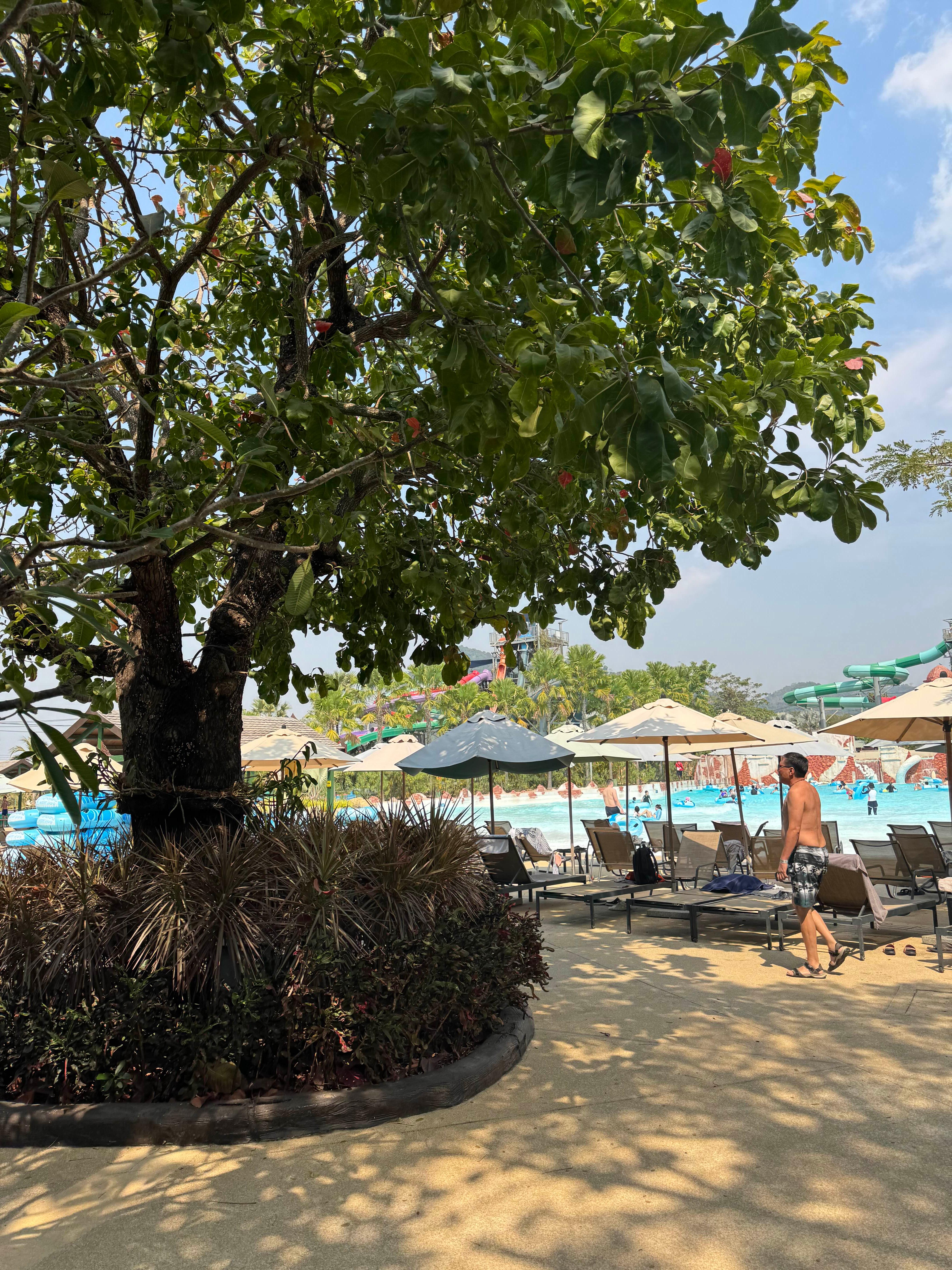 파타야 워터파크