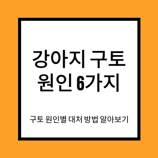 강아지 구토 원인