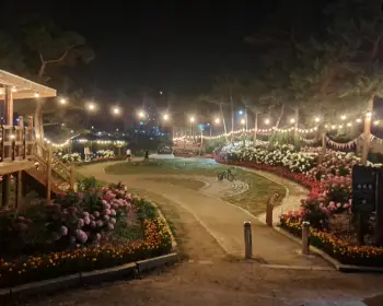 공주 수국축제 유구색동 수국 정원 꽃축제_24