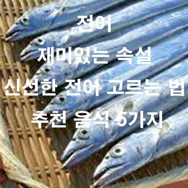 전어 재미있는 속설 신선한 전어 고르는 법 추천 음식 5가지