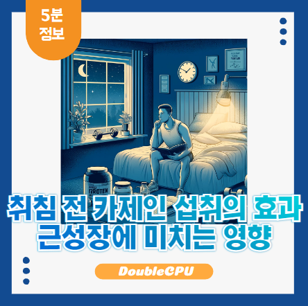 자기 전 카제인의 역할