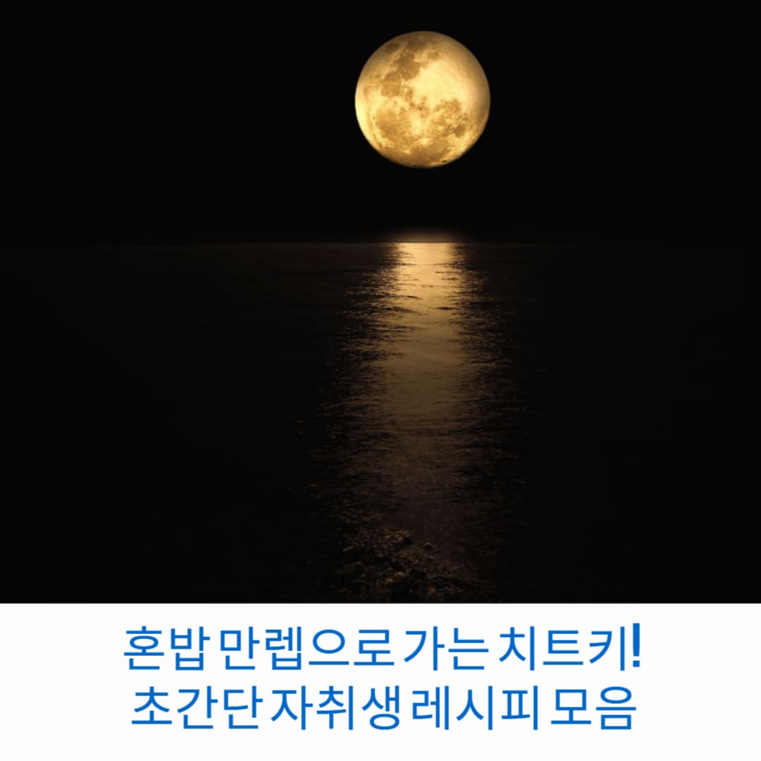 혼밥-만렙으로-가는-치트키-초간단-자취생-레시피-모음-썸네일