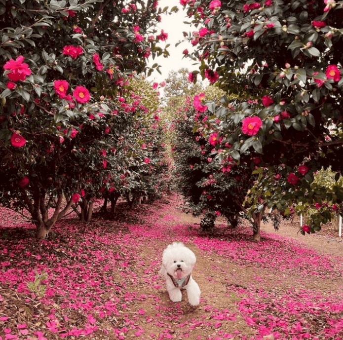 겨울 여행지 추천 