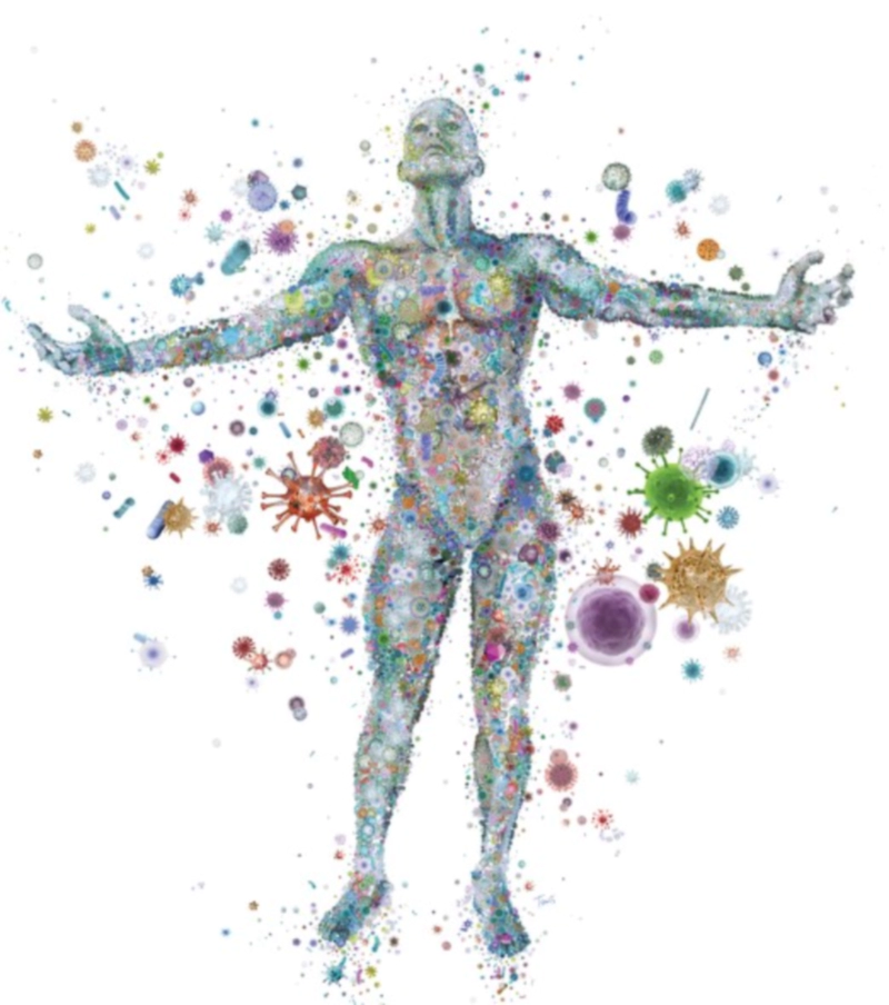 마이크로 바이옴이란 4000억 규모 범정부 신사업 정리